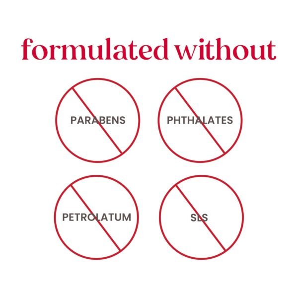 Burt's Bees Lip Balm - Pink Grapefruit, Mango, Coconut & Pear, and Pomegranate Pack, Lip Moisturizer With Beeswax, Tint-Free, Natural Origin Conditioning Treatment, 4 Tubes, 0.15 oz.