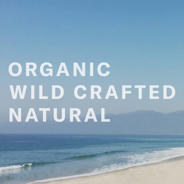 Chocolate Sun - Organic Absolute Dark Tanning Cream Face & Body | Clean, Non-Toxic Sunless Tanning (Dark Skin Tones, 8 oz | 236 ml)