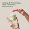 51Blc8UHQHL._SL1000_.jpg Pyunkang Yul [PKY Calming Moisture Barrier Cream Instantly Soothes Sensitive Skin, Hyaluronic Acid & Ceramide for Hydration, Vegan, Korean Skincare (1.69 Fl. Oz, 50ml)