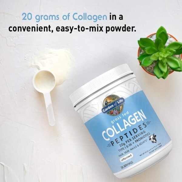 Garden of Life Grass Fed Collagen Peptides Powder Unflavored Collagen Powder for Women Men Hair Skin Nails Joints, Hydrolyzed Collagen Protein Supplements, Collagen for Women & Men, 28 Servings