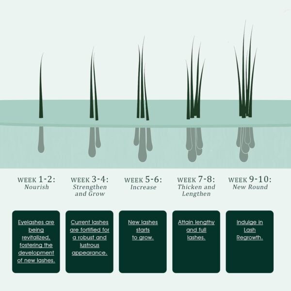 61O8i3yVnwL._SL1500_.jpg Eyelash Serum:Enhances,Promotes Natural Growth,Longer,Thicker,Stronger,Healthier Lashes.Cruelty-Free, Suitable for Sensitive Eyes & Hypoallergenic Skin.0.1 Fl. Oz (3 ML) 2-Month Supply.