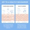 LANEIGE Cream Skin Refillable Toner & Moisturizer with Ceramides and Peptides: Korean Milky Toner, Amino Acid, Nourish, Hydrate, Barrier-Boosting, Visibly Firm