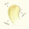 61SR6Fj9pdL._SL1500_.jpg Sun Bum Cocobalm Ocean Mint - Hydrating Lip Balm With Coconut Oil and Aloe Vera - 0.15 oz Stick