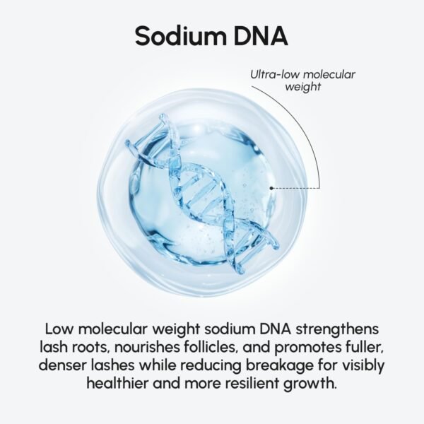 MAREE Eyelash Serum To Grow Lashes & Brows - Eye Lash Serum for Eyelash Growth Without Prostaglandin - Rapid Enhancing Lash Growth Eyebrow Boost Oil - Sérum De Pestañas Suero Para Pestañas Crecimiento