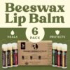 61ZnJb5Rn3L._SL1000_.jpg Earth's Daughter USDA Organic Lip Balm 6-Pack - Fruit Flavors, Beeswax, Coconut Oil, Vitamin E - Best Lip Repair Chapstick for Dry Cracked Lips - Moisturizing Lip Care