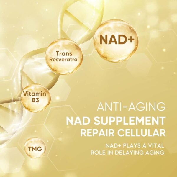 Life Nutrition-NAD+ Supplement 1000mg 120 Capsule - True NAD+ & Resveratrol,NMN Alternative for Anti-Aging