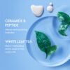 LANEIGE Cream Skin Refillable Toner & Moisturizer with Ceramides and Peptides: Korean Milky Toner, Amino Acid, Nourish, Hydrate, Barrier-Boosting, Visibly Firm