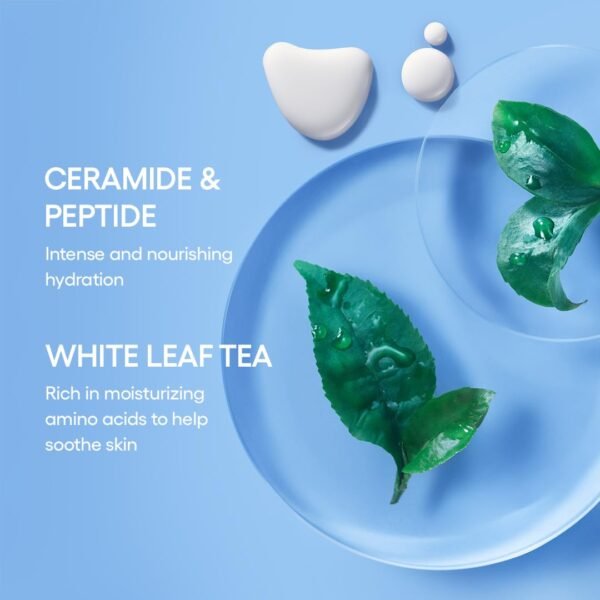 LANEIGE Cream Skin Refillable Toner & Moisturizer with Ceramides and Peptides: Korean Milky Toner, Amino Acid, Nourish, Hydrate, Barrier-Boosting, Visibly Firm