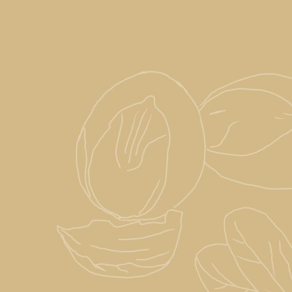 SheaMoisture Raw Shea Butter Deep Moisturizing Hair Masque, 11.5 fl oz - Deep Conditioner for Curly Hair to Moisturize and Renew, Sustainable, Organic, Cruelty-Free