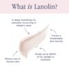 Lanolips 101 Ointment - Lanolin Lip Balm for Smooth, Hydrated & Healthy Lips - Multipurpose Lip Ointment with Lanolin Oil for Dry Lips, Cuticles & More - Strawberry (0.52 oz)