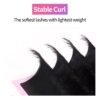 61rYwYkKAAL._SL1500_.jpg VEYES INC Classic Volume Lash Extensions 0.03-0.20 J/B/L/C/CC/D/DD Curl 5-25mm Mixed & Single Length Tray, Premium Silk Eyelashes, Professional Supplies for Lash Techs(Matte Black 0.15 D 8-16mm)