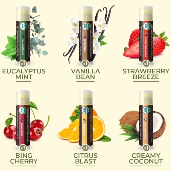 61sHwwcRieL._SL1000_.jpg Earth's Daughter USDA Organic Lip Balm 6-Pack - Fruit Flavors, Beeswax, Coconut Oil, Vitamin E - Best Lip Repair Chapstick for Dry Cracked Lips - Moisturizing Lip Care