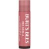 Burt's Bees Lip Tint Balm with Long Lasting 2 in 1 Duo Tinted Balm Formula, Color Infused with Deeply Hydrating Shea Butter for a Natural Looking Buildable Finish, Fiery Red Dahlia (2-Pack)