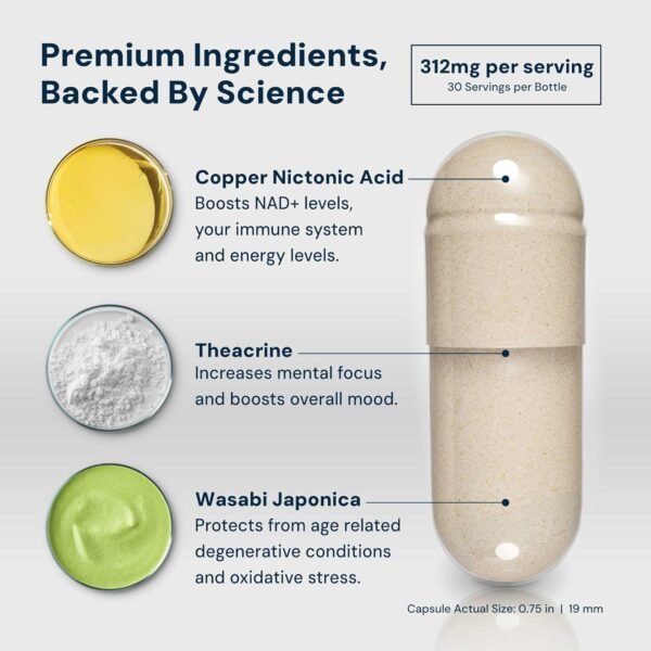 HPN NAD+ Booster (NAD3), Anti Aging Cell Booster, NRF2 Activator, Nicotinamide Riboside Alternative, NAD Supplement Natural Energy, Longevity, and Cellular Health, 312 Mg per Serving (1 Month Supply)