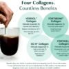 ALGAECAL Collagen: 4 Clinically-Supported Peptides VERISOL®, FORTIGEL®, UC-II®, FORTIBONE®, Anti-Aging Hydrolyzed Collagen Powder, 30 Servings, Made in USA