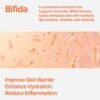 Bifida Barrier Ampoule, Mild and Moisturizing Korean Skin Care Face Serum Ampoule with Ceramide NP and Hyaluronic Acid for Hydration and Skin Elasticity, 50ml (1.69 Fl. Oz.)
