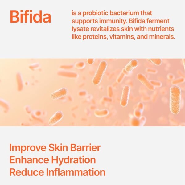 Bifida Barrier Ampoule, Mild and Moisturizing Korean Skin Care Face Serum Ampoule with Ceramide NP and Hyaluronic Acid for Hydration and Skin Elasticity, 50ml (1.69 Fl. Oz.)