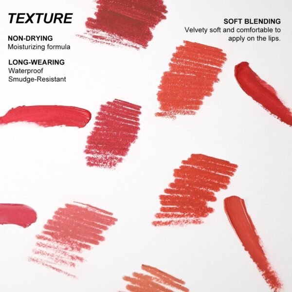 YOUNG VISION Liquid Lipstick & Lip liner Combo Set, Matte Lip Contour Kit - Durable, Waterproof, Kit de Labios Matte for Lasting Definition…