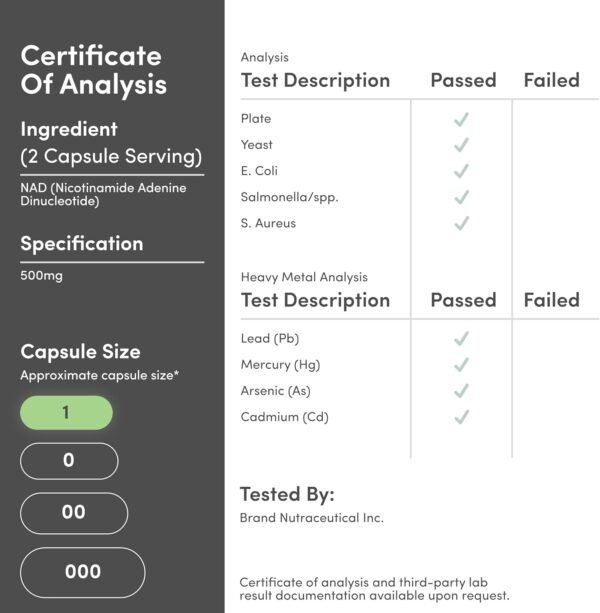 NAD Supplement for Anti Aging and Cell Regeneration (500mg of 95% Pure NAD+ Per Serving, 30 Day Supply) Similar to Nicotinamide Riboside (Third Party Tested, Vegan Safe, Non-GMO) by Double Wood
