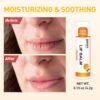 715LOuoUVrL._SL1500_.jpg DMSKY 12 Pack Lip Balm, Natural Lip Balm Bulk with Vitamin E and Coconut Oil, Moisturizing Lip Balm for Chapped Lips, Bulk Lip Balm for Women-12 Flavors