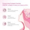 Collagen Peptides Capsule，Naturally Sourced Hydrolyzed Collagen with prebiotic & Cranberry Extract - Hair, Skin, Nail, Joint, Digestive Health & Immune Support, Non-GMO, 100 Capsule.