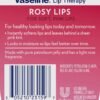 717FZxfJ0L._SL1500_.jpg Vaseline Lip Therapy Variety 3-Pack – Crème Brûlée, Rosy Lips, Cocoa Butter Mini Lip Balms for Soft, Glowing, and Deliciously Kissable Lips, 0.25 Oz Ea