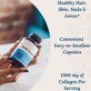 718tRVh4LtL._AC_SL1500_.jpg Live Conscious Beyond Collagen Multi Collagen Capsules - Types I, II, III, V & X - Hydrolyzed Blend with Biotin & Vitamin C for Hair, Skin, Nails 90 Capsules