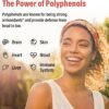 719oZRiqEhL._AC_SL1500_.jpg 67,500 MG Polyphenols Supplement - Powerful Antioxidants & Polyphenol for Age Defense, Polyphenol Superfood, Quercetin, Resveratrol, Green Tea, Plant-Based & Energy, Immune Support, 90 Capsules
