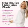 71B0yOEaC1L._AC_SL1500_.jpg Venture Pal Multi Collagen Protein Powder for Joint Support - Hydrolyzed Collagen Peptides MSM + GC, Type I II III V X & Vitamin C | Collagen Supplement for Women & Men | Hair, Skin, Nail & | Non-GMO