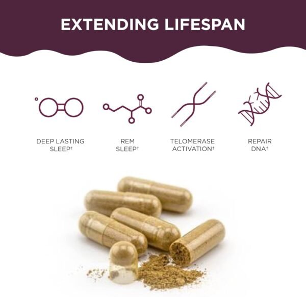 Healthycell Telomere Length Supplement - Anti-Aging Telomere Lengthening Supplements with Phytonutrients & Vitamins for Cellular Health - AC-11, Astragalus & Resveratrol - 30 Capsules