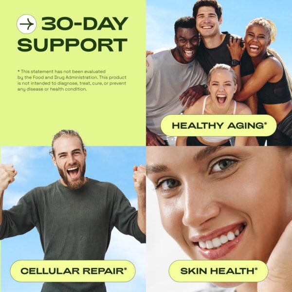 NMNH Supplement Alternative - Liposomal NAD CORE LipoNAD 250mg - 30-Day Supply - High Purity NAD Supplement for Anti-Aging, Energy, Focus - 60 Capsules