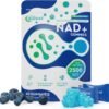 NAD Gummies Sugar Free, NAD+ Supplement with Liposomal Nicotinamide Riboside, Resveratrol, Quercetin, NAD Supplement for Anti-Aging, Energy, Cellular Health, Blueberry Flavor, 60 Gummies