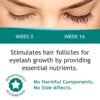 FEG Max Eyelash Serum | For Lash and Brow | Fast Effective Growth Creates Longer & Darker Eyelashes | Natural Eyelash Serum to Grow Lashes | 6 mL