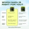 NMNH Supplement Alternative - Liposomal NAD CORE LipoNAD 250mg - 30-Day Supply - High Purity NAD Supplement for Anti-Aging, Energy, Focus - 60 Capsules