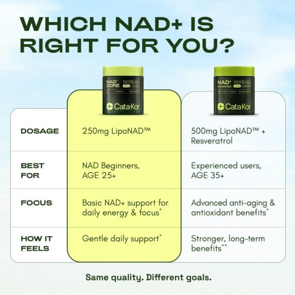 NMNH Supplement Alternative - Liposomal NAD CORE LipoNAD 250mg - 30-Day Supply - High Purity NAD Supplement for Anti-Aging, Energy, Focus - 60 Capsules