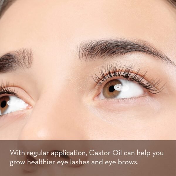 71KGd7oT3WL._SL1500_.jpg Pure Body Naturals Castor Oil for Eyelashes and Eyebrows - Brow and Lash Growth Serum - Organic Hexane Free Cold Pressed Unrefined - 1 fl oz