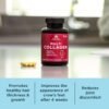Ancient Nutrition Collagen Peptides Pills, Hydrolyzed Multi Collagen Supplement, Types I, II, II, V & X, Supports Healthy Skin and Nails, Gut Health and Joints, 90 Capsules