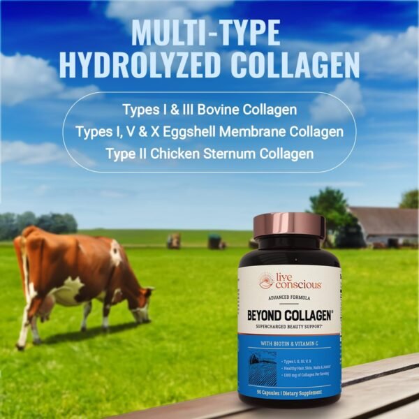 71QpfyGbCoL._AC_SL1500_.jpg Live Conscious Beyond Collagen Multi Collagen Capsules - Types I, II, III, V & X - Hydrolyzed Blend with Biotin & Vitamin C for Hair, Skin, Nails 90 Capsules
