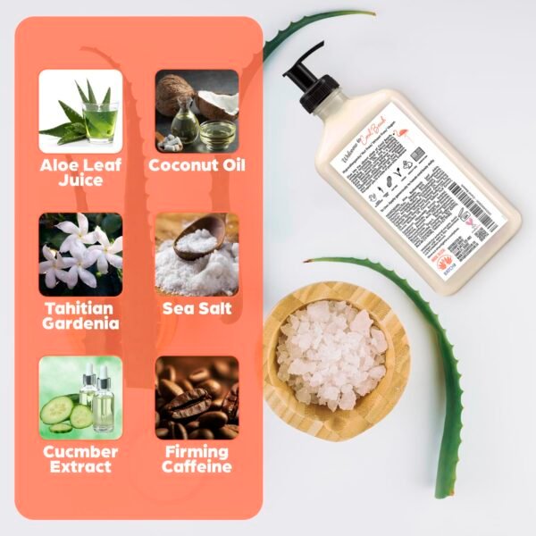 Coral Beach Daily Moisturizer, Tan Extender Lotion, for After Sun or Tanning Bed, Aloe Vera base, Hypoallergenic, Sensitive Skin, Great for Men and Women, Unisex Fresh Scent