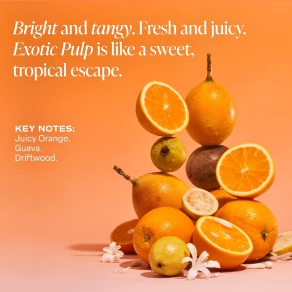 Saltair Multi-Lipid Body Butter - Rich, Nourishing Exotic Pulp Hydrating Body Cream with Ceramide Complex, Coconut Oil, Shea Butter, and Sea Buckthorn. Deep Moisturizing Dry Skin Care. 10oz Jar