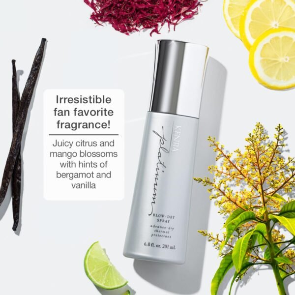 Kenra Platinum Blow-Dry Spray | Time-Saving Heat Protectant | Detangles, Smooths, and Softens | Eliminates Frizz & Resists Humidity | Medium To Coarse Hair