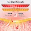 Red Light Therapy for Body, 3-in-1 Infrared Light Therapy pad with 660nm Red & 850nm Near Infrared, Auto Timer & 3 Modes, Easy-Use Home Therapy Belt for Pain Relief & Muscle Recovery