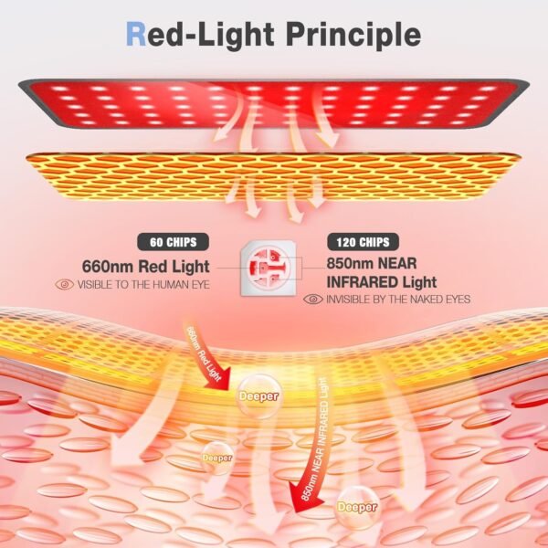 Red Light Therapy for Body, 3-in-1 Infrared Light Therapy pad with 660nm Red & 850nm Near Infrared, Auto Timer & 3 Modes, Easy-Use Home Therapy Belt for Pain Relief & Muscle Recovery