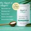 ALGAECAL Collagen: 4 Clinically-Supported Peptides VERISOL®, FORTIGEL®, UC-II®, FORTIBONE®, Anti-Aging Hydrolyzed Collagen Powder, 30 Servings, Made in USA