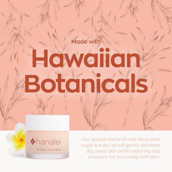 71h5Q8sCrXL._SL1500_.jpg Hanalei Vegan Sugar Lip Scrub Exfoliator - Hawaiian Cane Sugar, Kukui Oil & Shea Butter for Smooth, Hydrated Lips - Natural, Cruelty-Free Lip Care, Removes Dry Skin, Moisturizes & Softens (22g)
