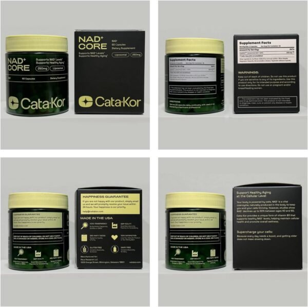 NMNH Supplement Alternative - Liposomal NAD CORE LipoNAD 250mg - 30-Day Supply - High Purity NAD Supplement for Anti-Aging, Energy, Focus - 60 Capsules