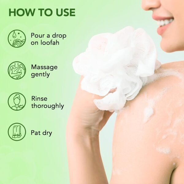 Botanic Hearth Tea Tree Body Wash | 16 fl oz | Helps Soothe Itchy, Dry Skin, Antifungal Body Wash with 100% Pure Tea Tree Oil | Sulfate Free, Paraben Free, for Men and Women Set of 2