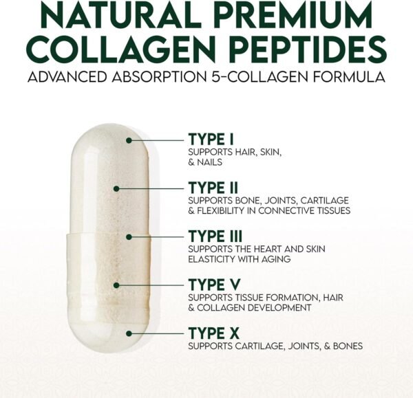 Collagen Peptides for Women & Men - Type I, II, III, V, X Multi Collagen, Hydrolyzed Collagen Supplement Supports Hair, Nail, Skin, Bone and Joint Health with Vital Nutrients & Proteins - 120 Capsules