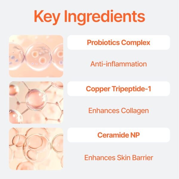 Bifida Barrier Ampoule, Mild and Moisturizing Korean Skin Care Face Serum Ampoule with Ceramide NP and Hyaluronic Acid for Hydration and Skin Elasticity, 50ml (1.69 Fl. Oz.)