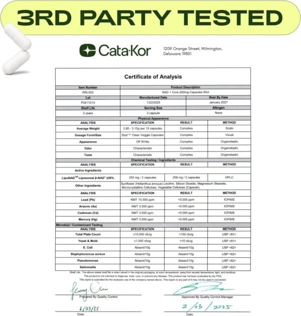 NMNH Supplement Alternative - Liposomal NAD CORE LipoNAD 250mg - 30-Day Supply - High Purity NAD Supplement for Anti-Aging, Energy, Focus - 60 Capsules